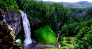 Allowing Life to Flow