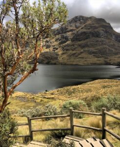 how to live in Ecuador