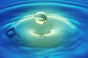 Living In A Bubble
