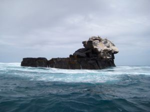 the Galápagos Islands