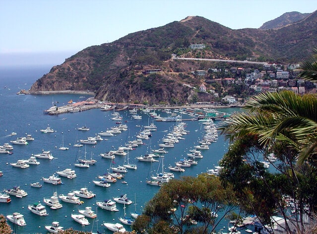 What to do in Santa Catalina Island