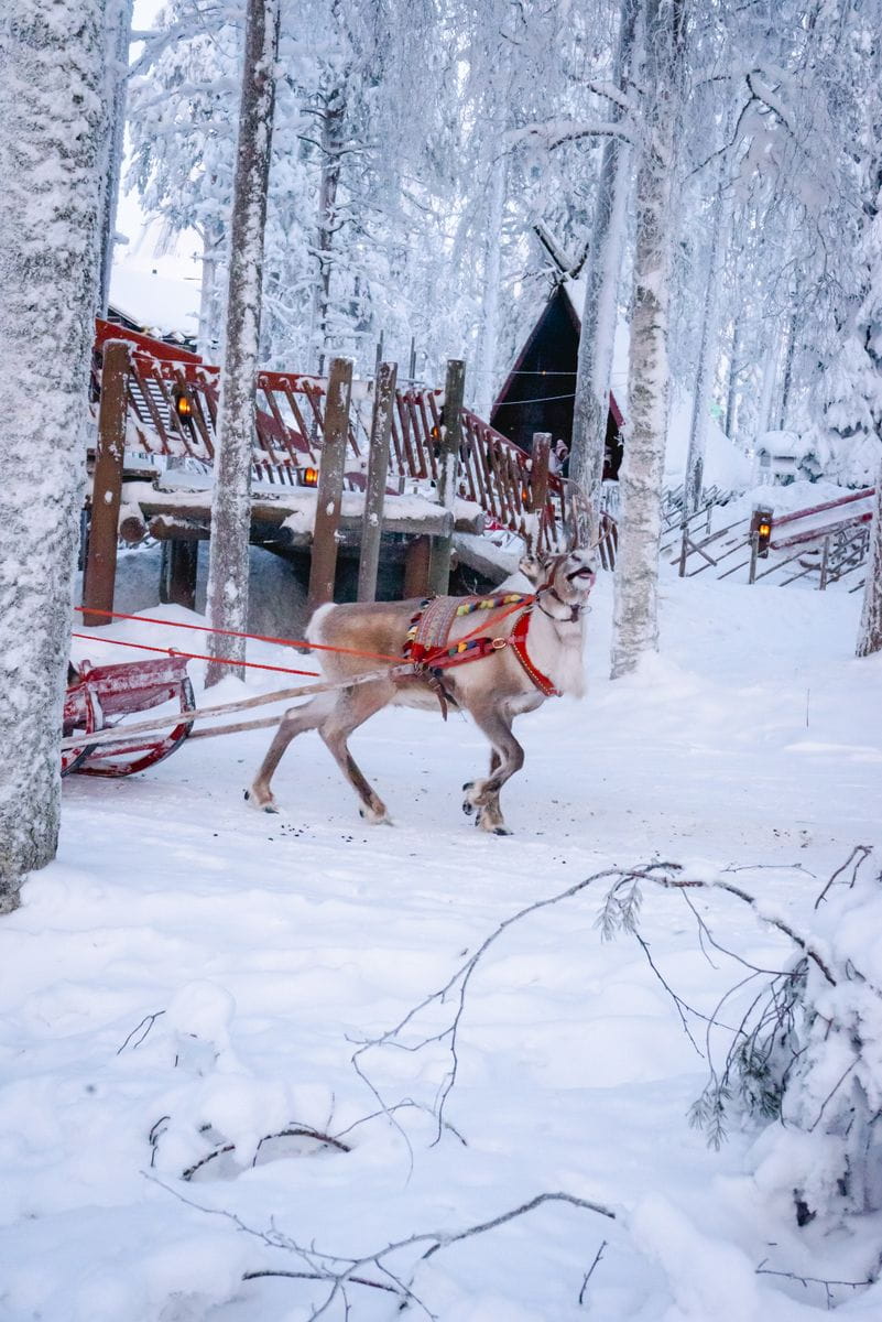 Best Things To Do In Kakslauttanen