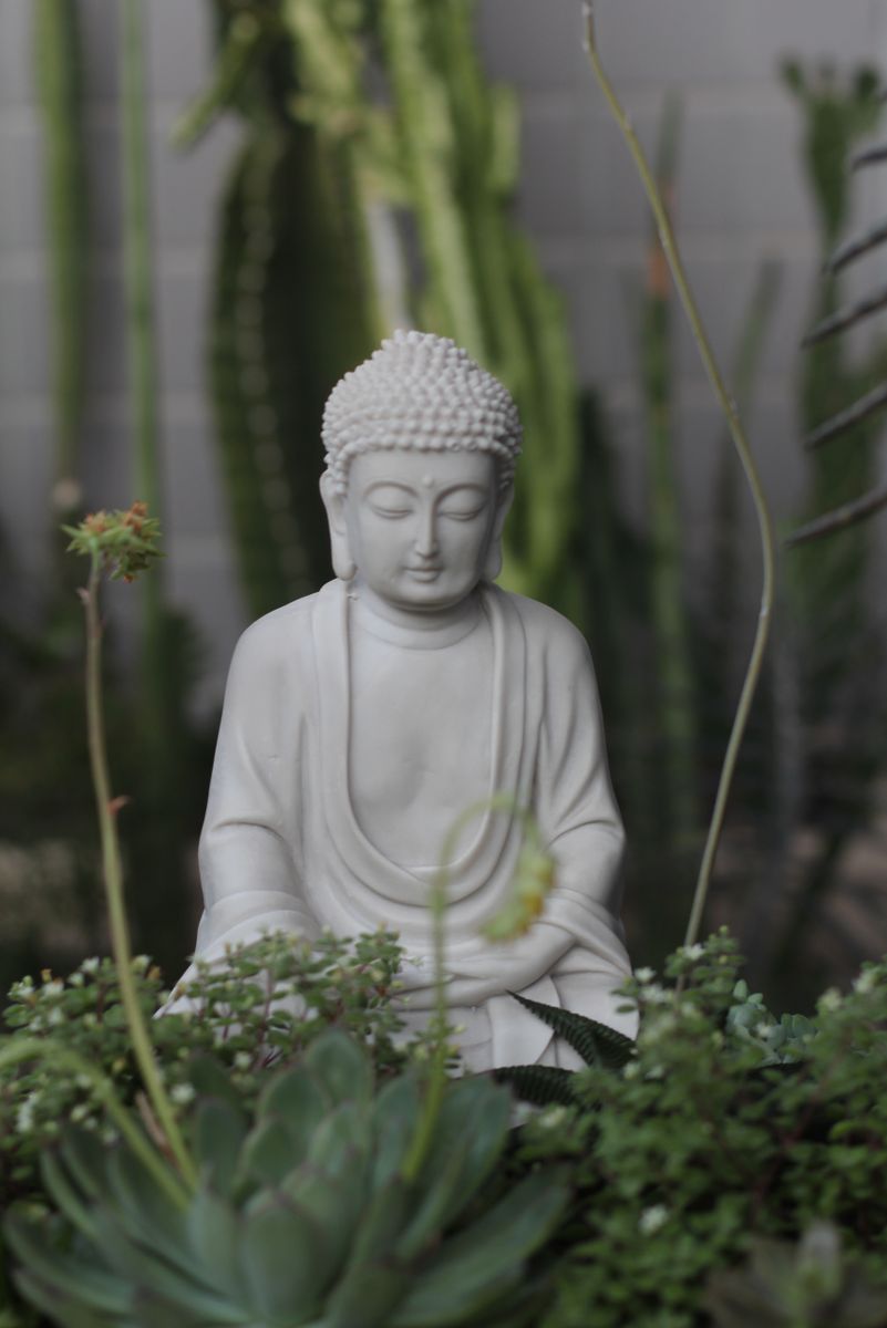 How To Nurture Your Inner Garden